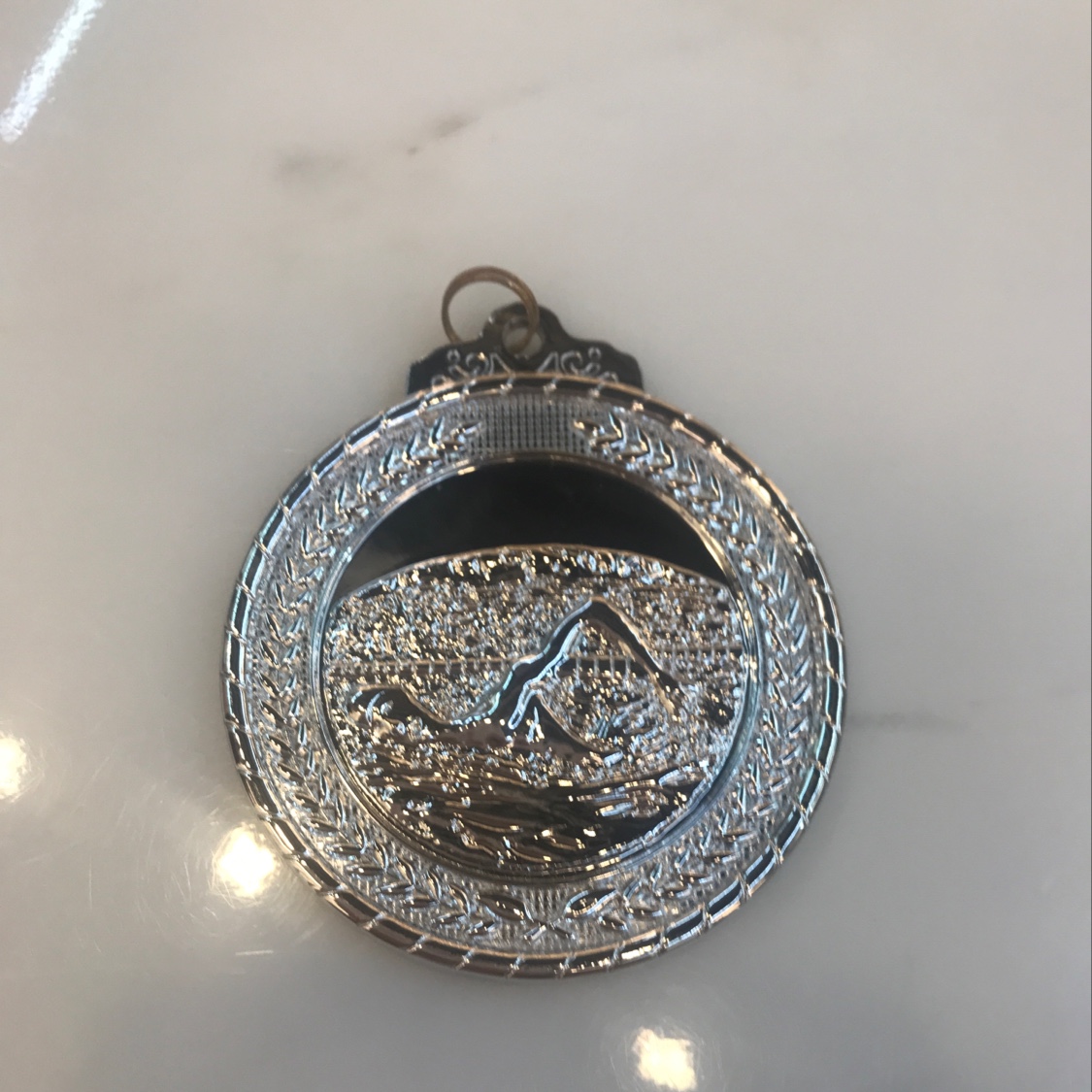 Swimming Silver