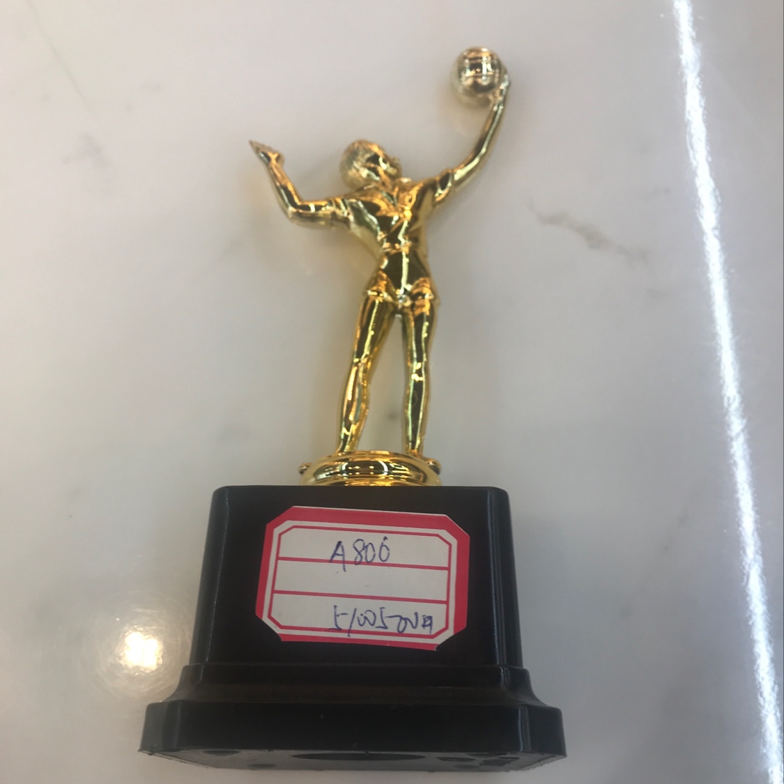 New plastic volleyball trophy details Picture