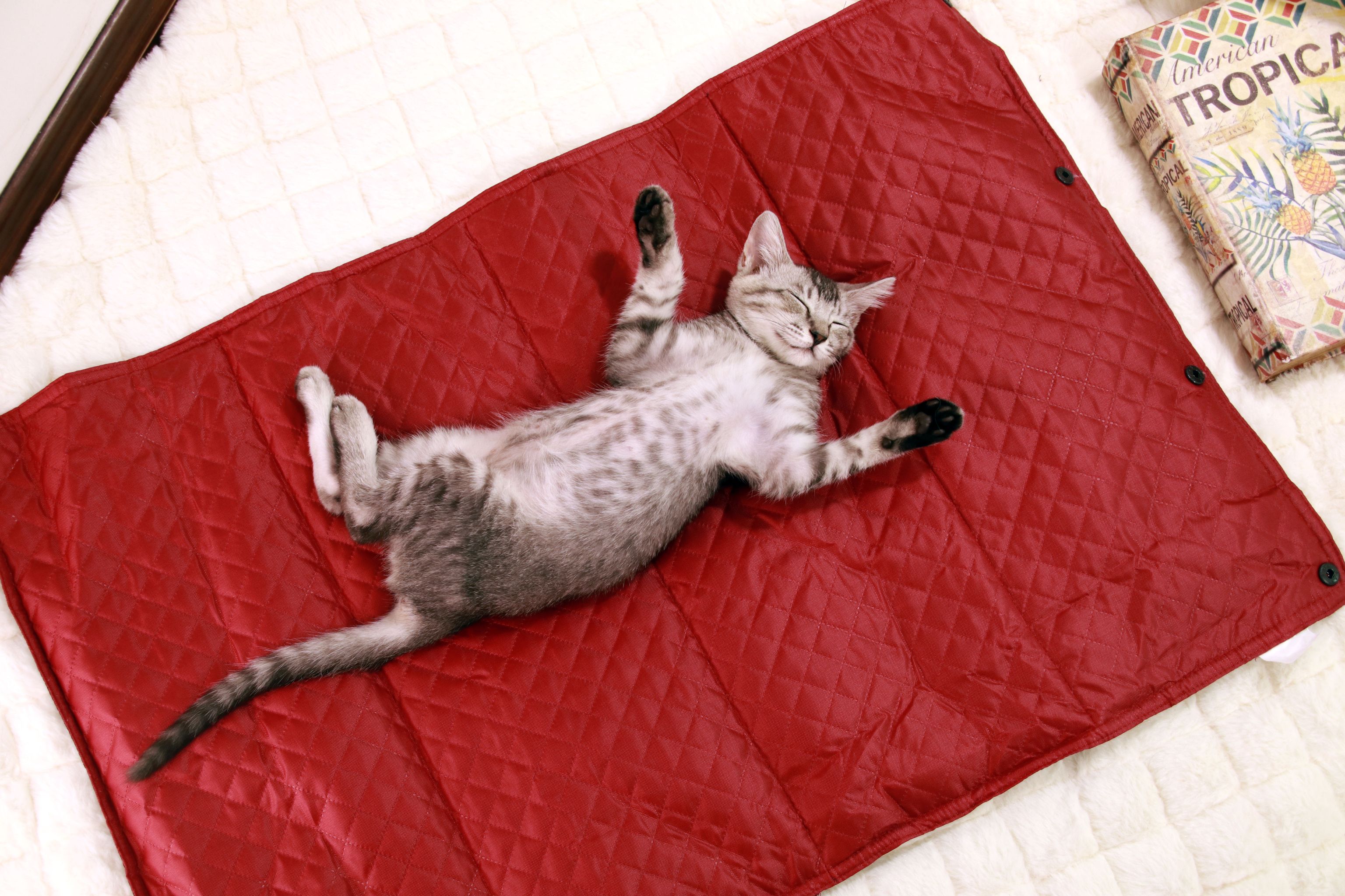 New outdoor mat, suitable for dogs and cats, outdoor pet bed, seat cushion, pet outdoor mat, dog cage, all seasons detail image 5
