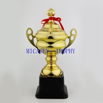 Trophies for special competitions of schools and enterprises