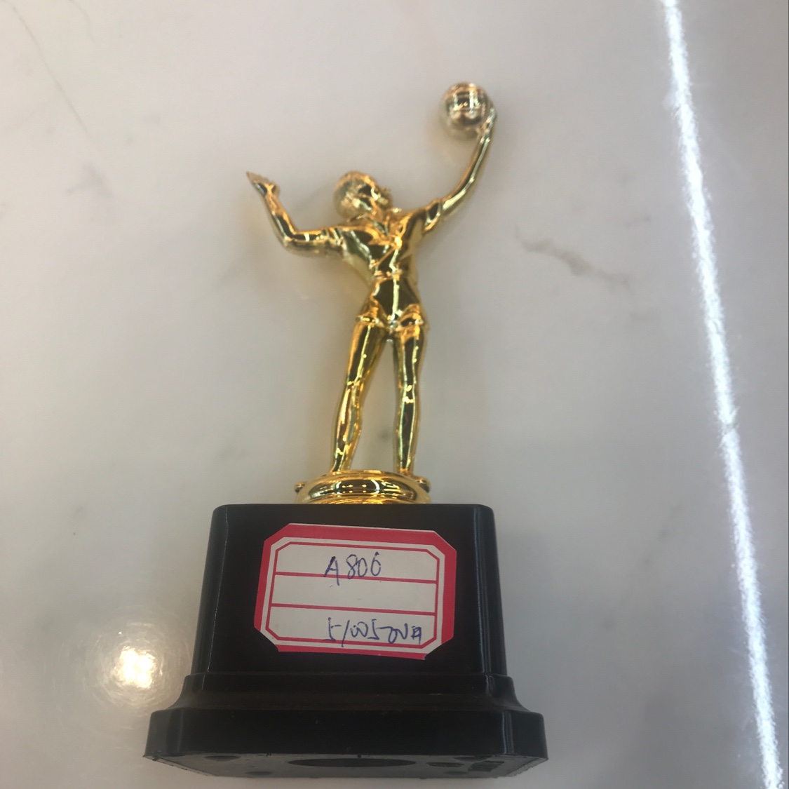New plastic volleyball trophy