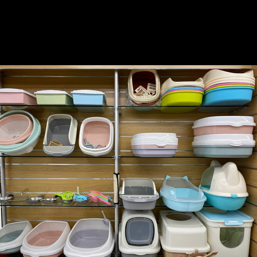 Zhisheng Pet describe pic - 1