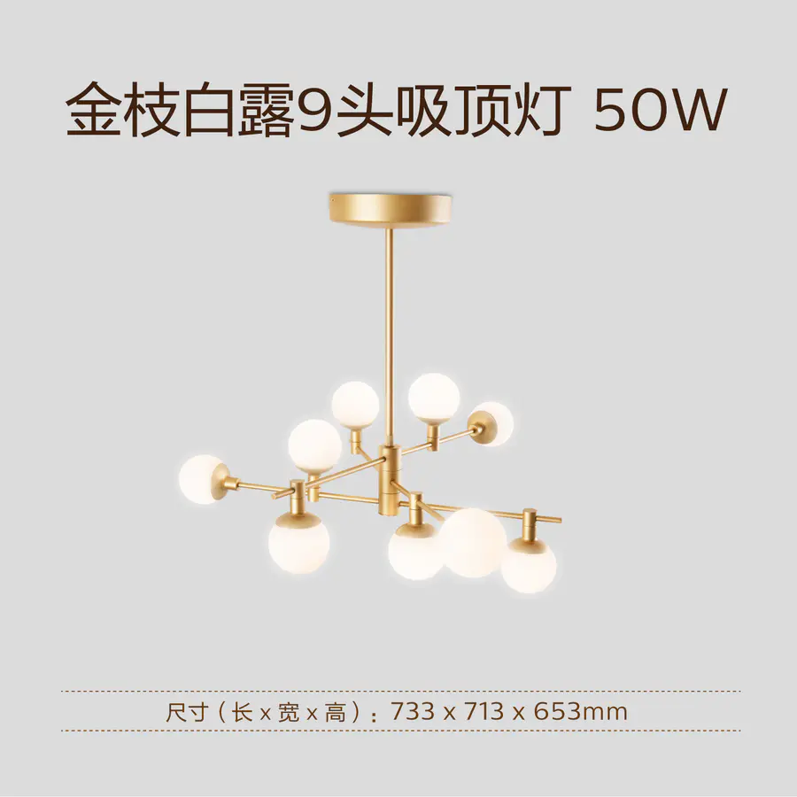 Philips' Golden Branch White Dew series of lighting fixtures has launched a new product. The 50w living room lamp is elegant, light luxury and bright