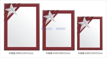 Star MEDALS Annual Party Awards Sports events entertainment events general MEDALS