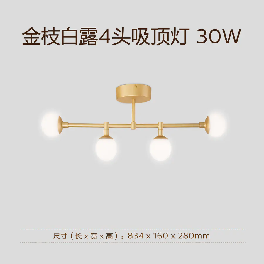 Philips ceiling lamp White Dew LED ceiling lamp 30w for dining room and study