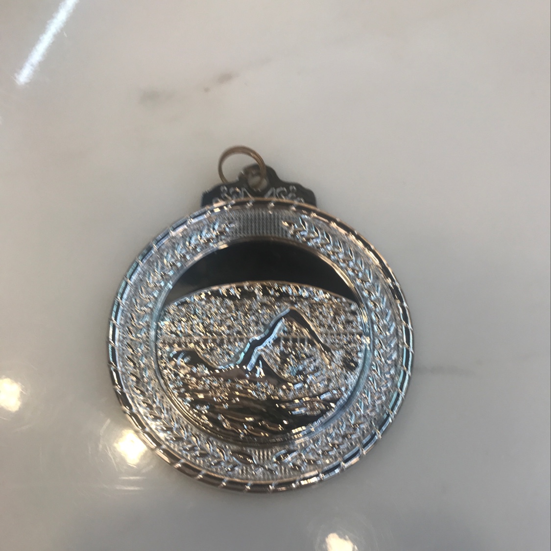 Swimming Silver details Picture