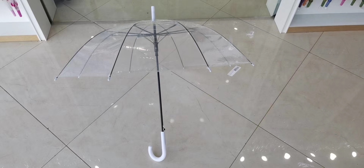 Transparent umbrella