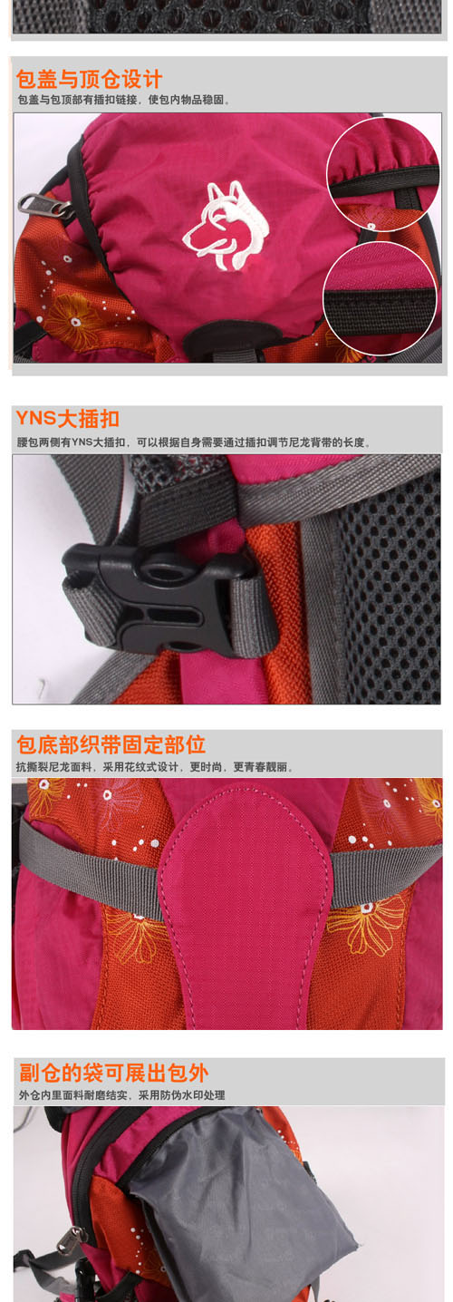 外贸专供JUNGLE KING户外登山包儿童背包韩式小型野营包徒步运动背包休闲包详情5