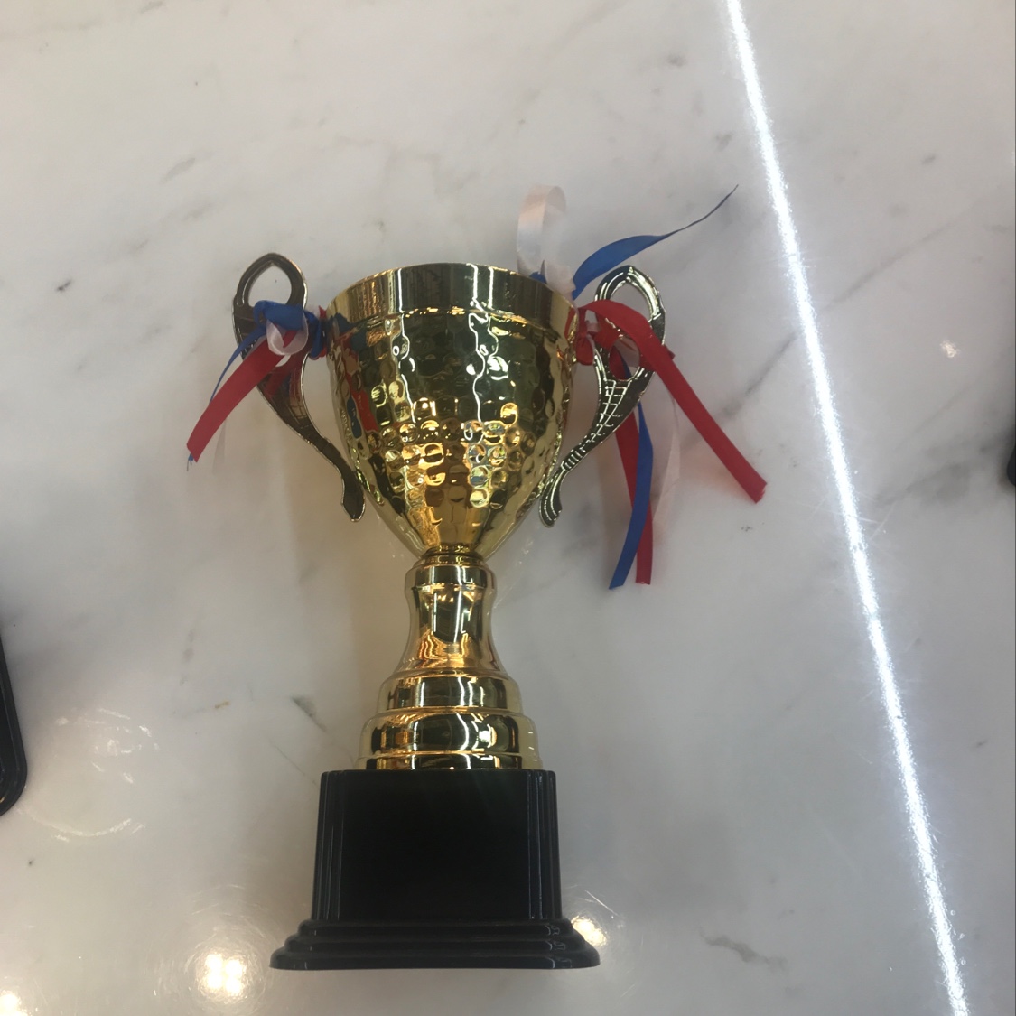 The new 4081 metal trophy details Picture