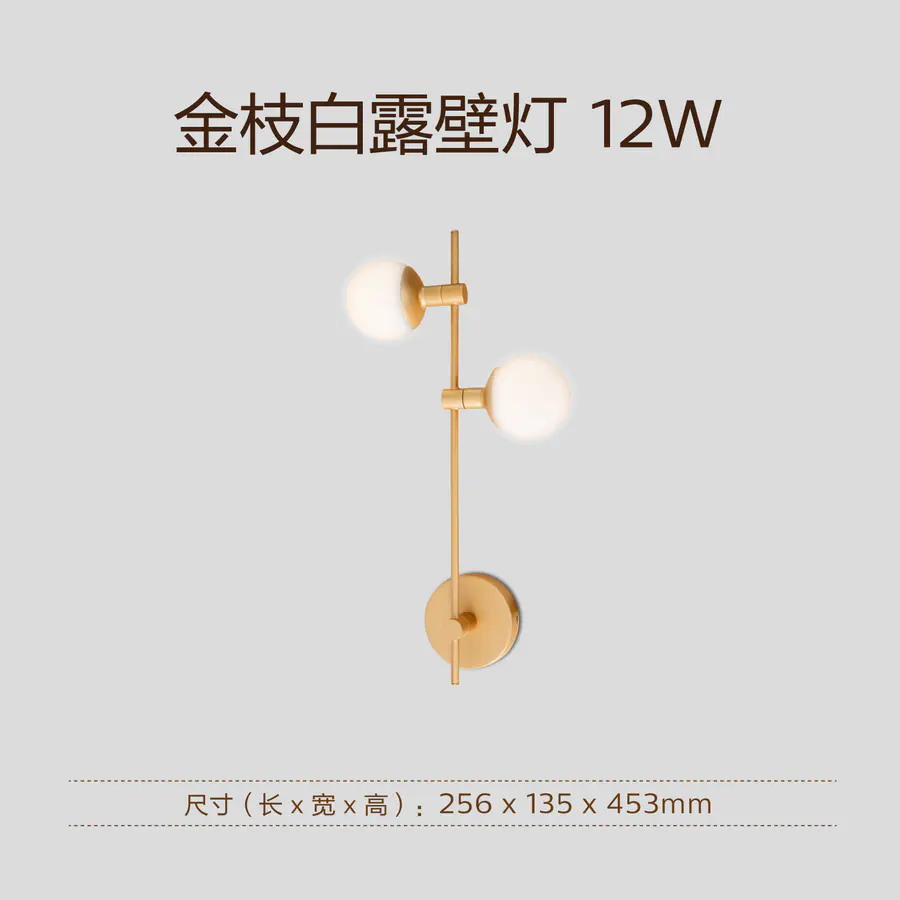 飞利浦金枝白露LED壁灯12w