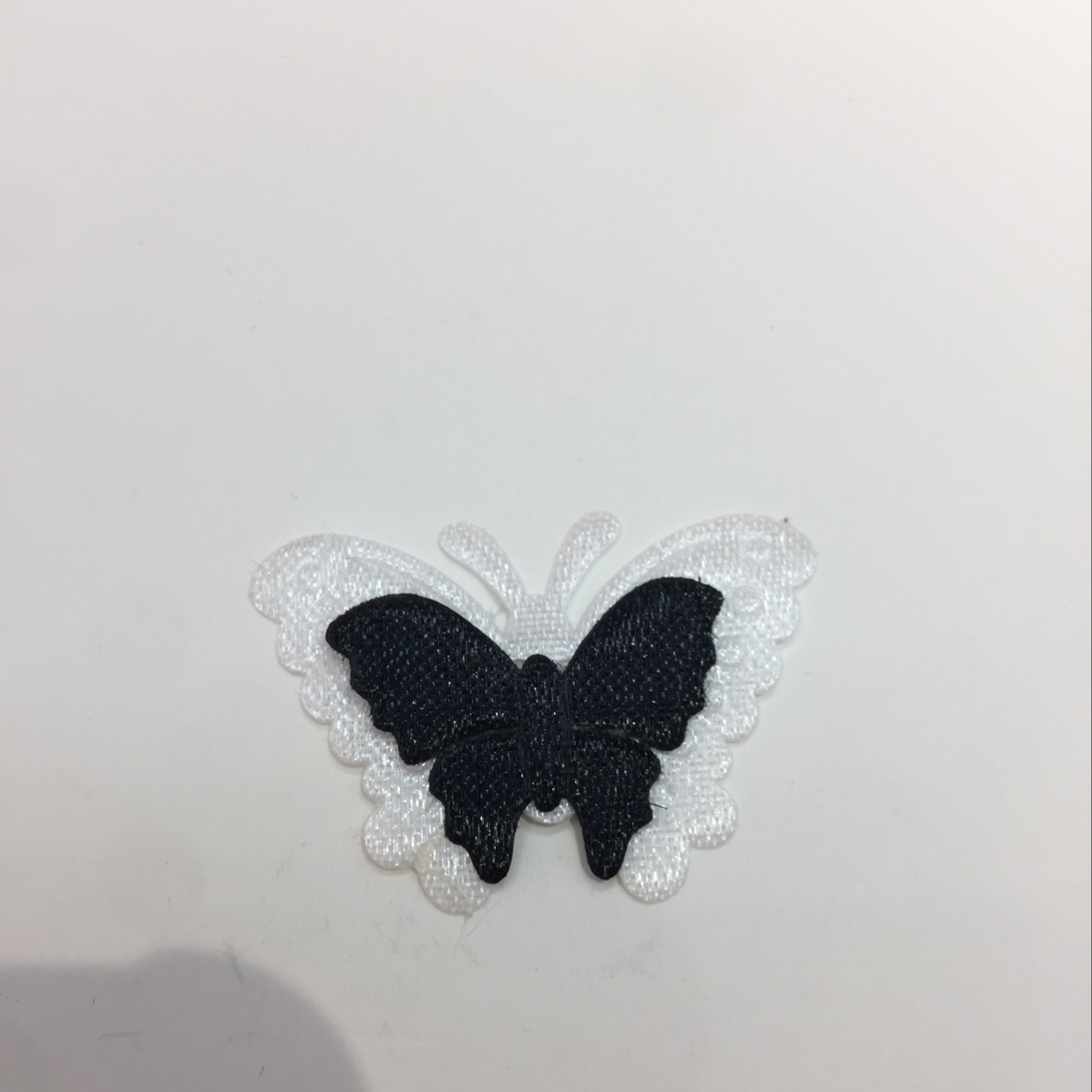 Black and white butterfly thumbnail