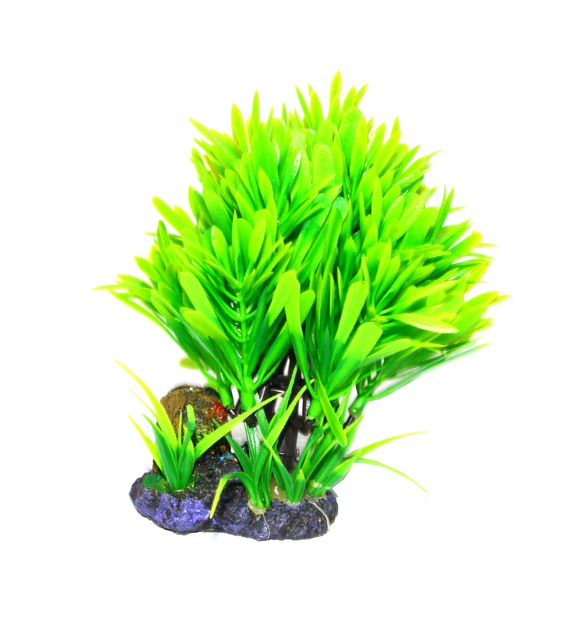 New water plants of 2020 detail image 1
