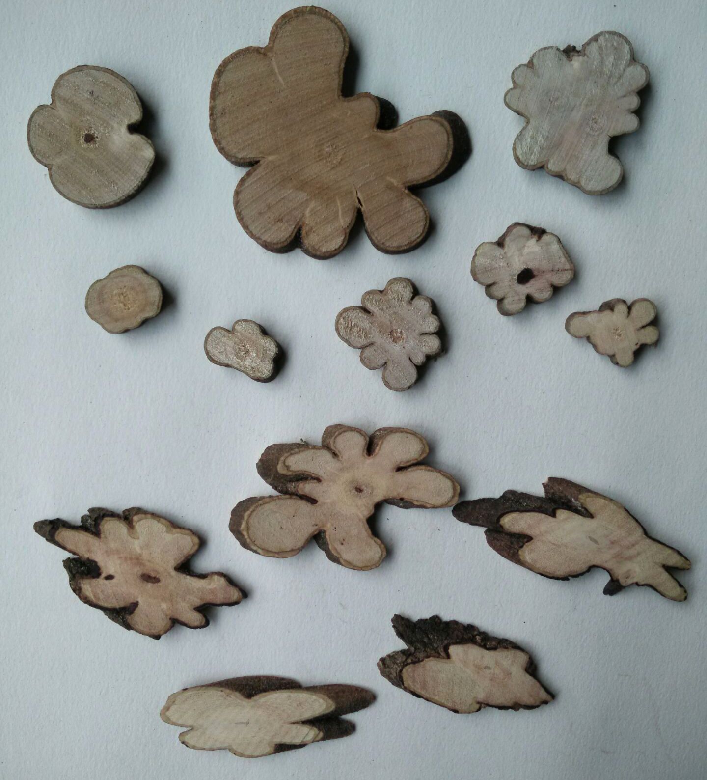 天然松木片 圆木片 微景观拍照道具 年轮片木片加工厂家生产详情图11