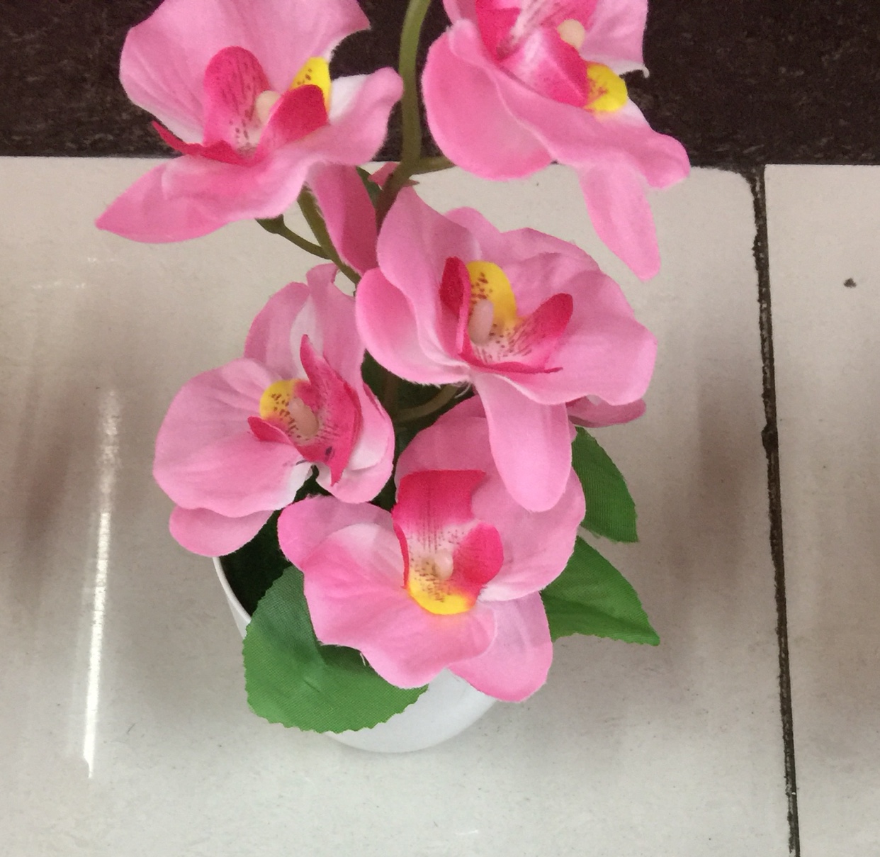 Bonsai 10 thumbnail