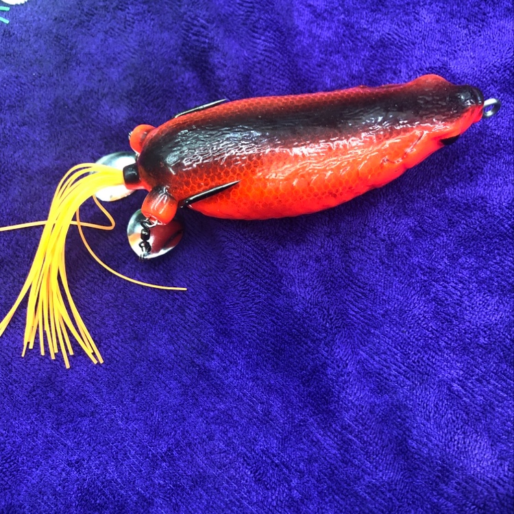 雷蛙路亚详情图2