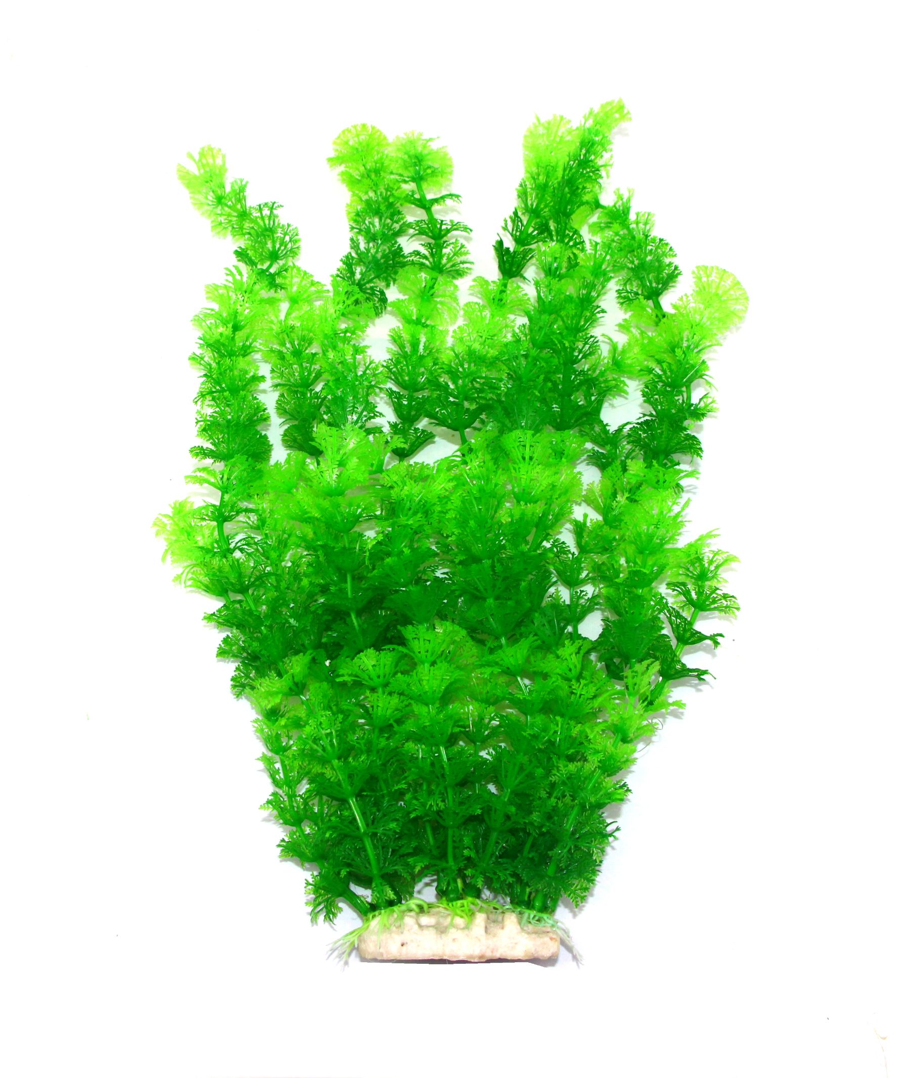 2020 New Decorative Aquatic Plants 5