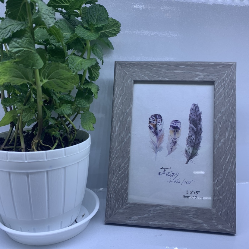 Photo Frame 15