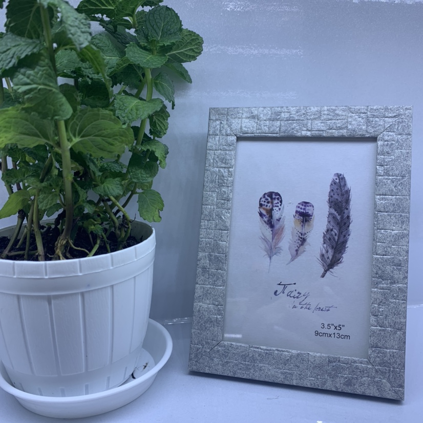 Photo Frame 13