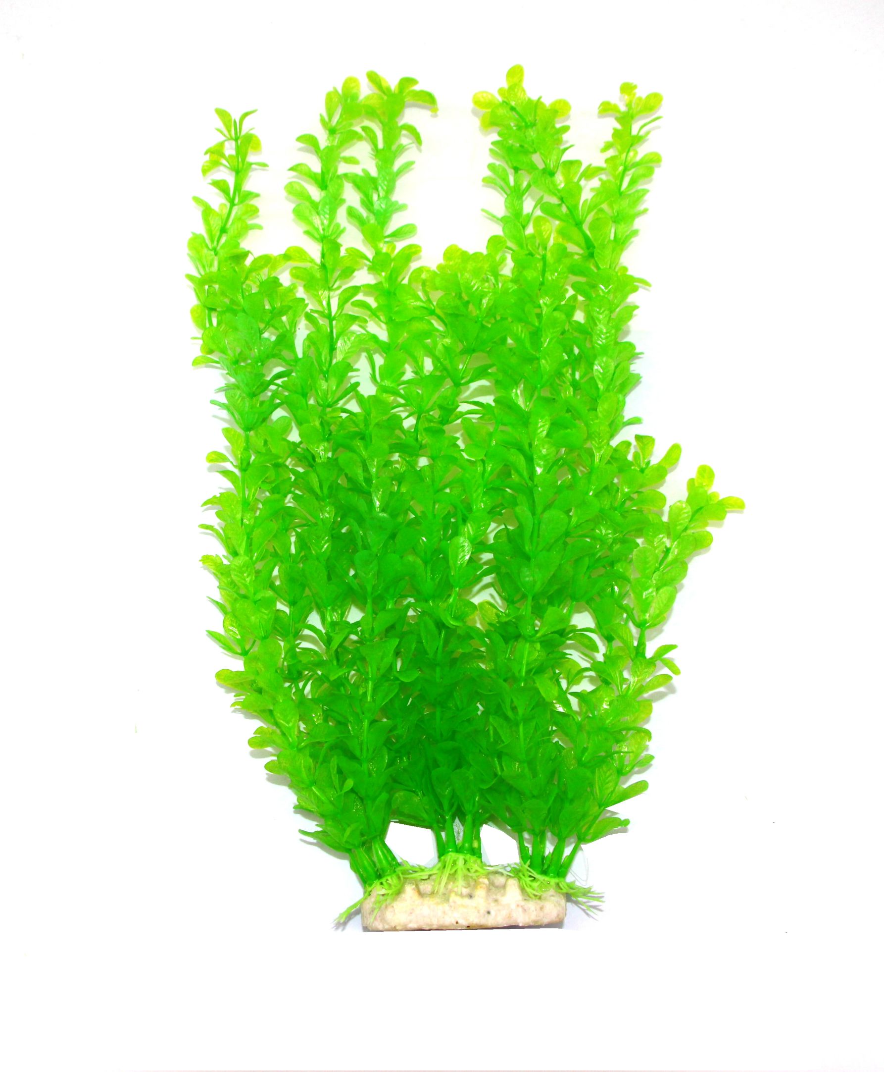 2020 New Decorative Aquatic Plants 1 detail image 1