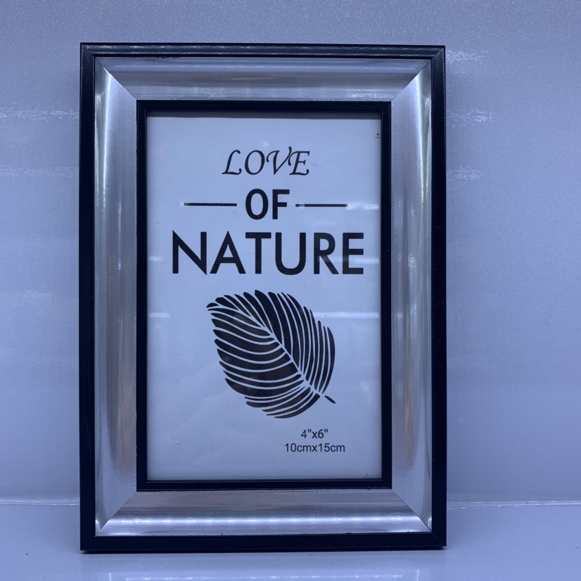 Photo Frame 29