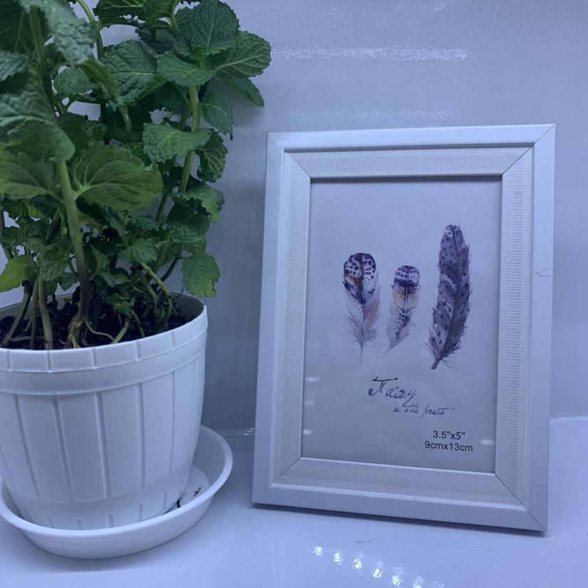 Photo Frame 7