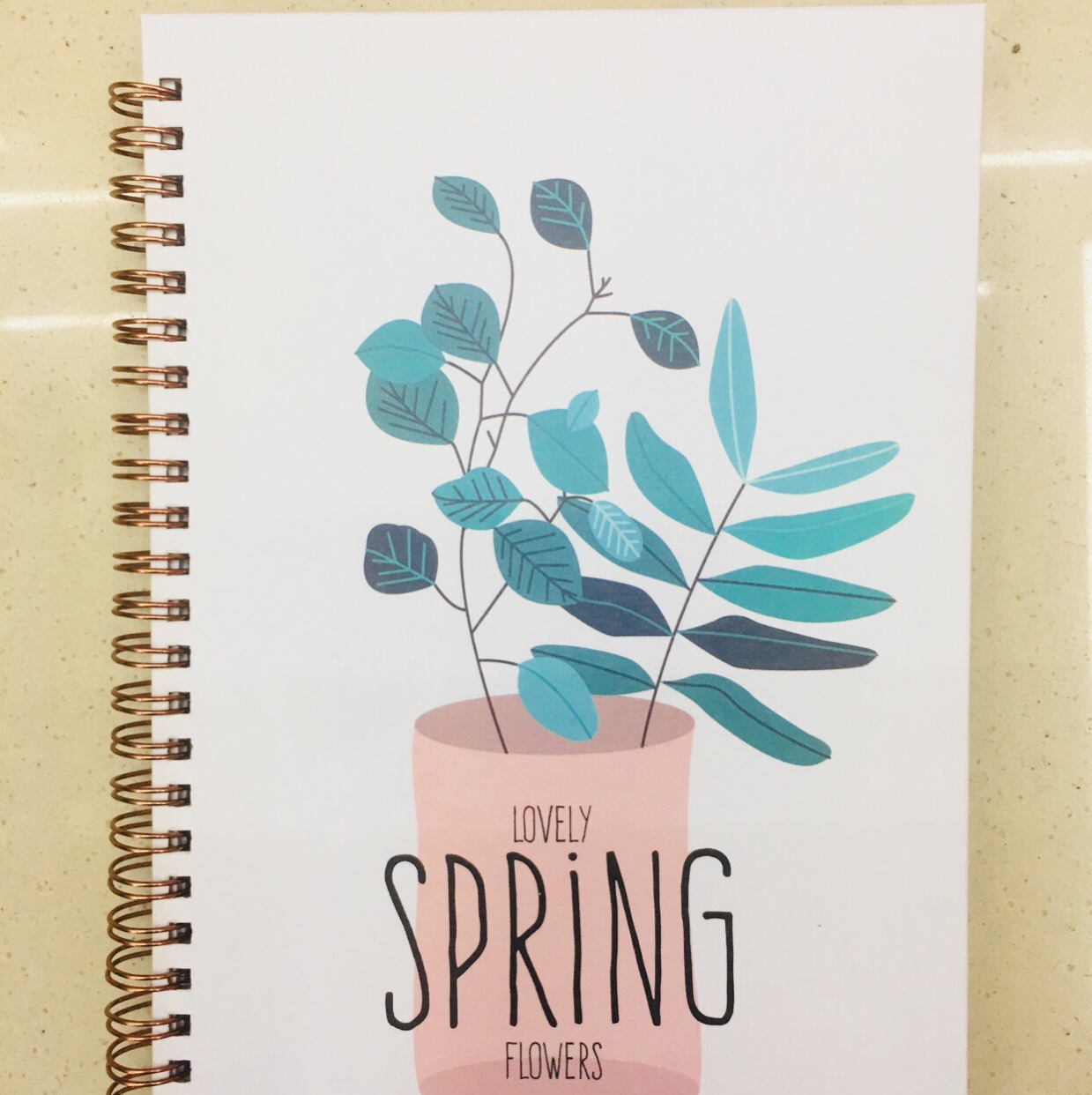 线圈本笔记本子大学生小清新侧翻A5螺旋加厚文具女生款卡通可爱创意复古文艺好看的简约小清新花4