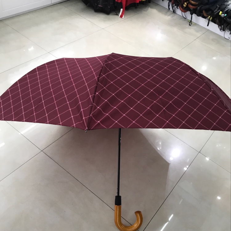 Item Number 2101 Double Bent Handle Umbrella details Picture