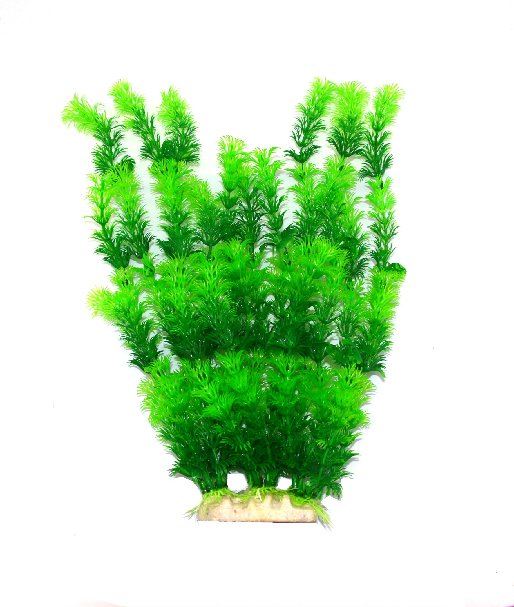 2020 New Decorative Aquatic Plants 6