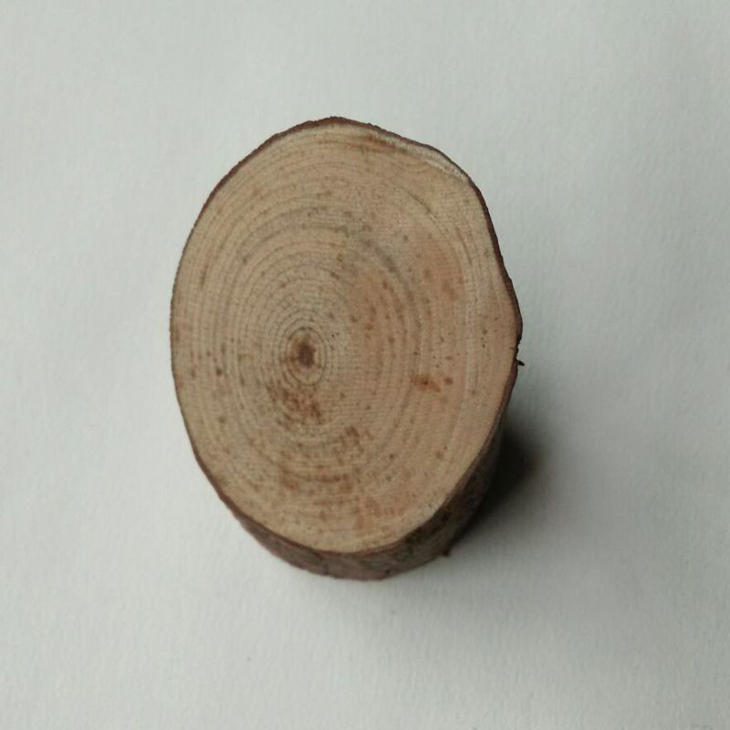天然松木片 圆木片 微景观拍照道具 年轮片木片加工 厂家直销产品图