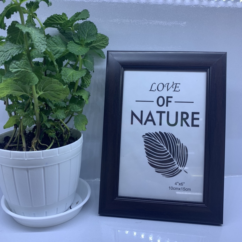 Photo frame 4