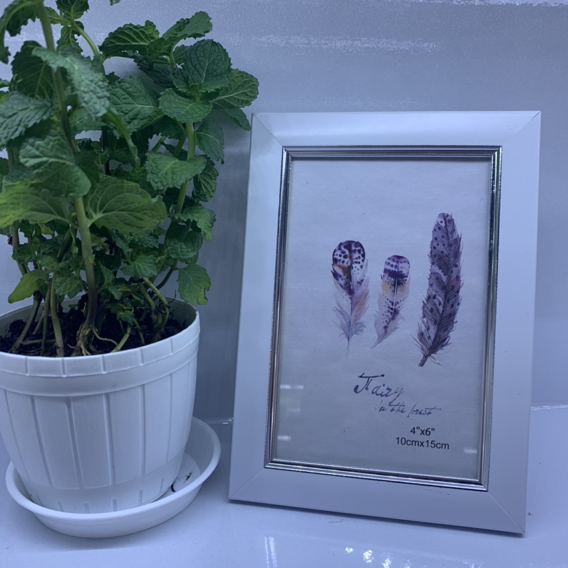 Photo frame 5