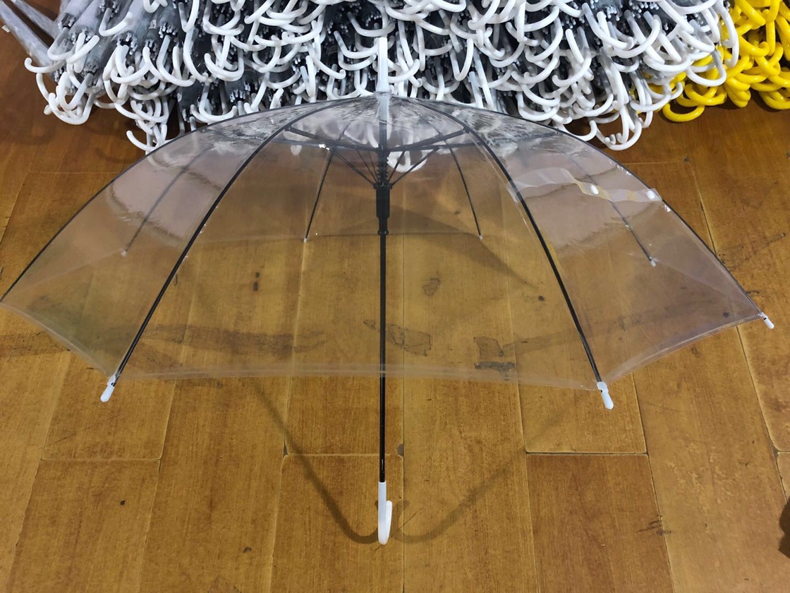 透明伞