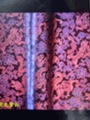 Dragón chino jacquard Specification image