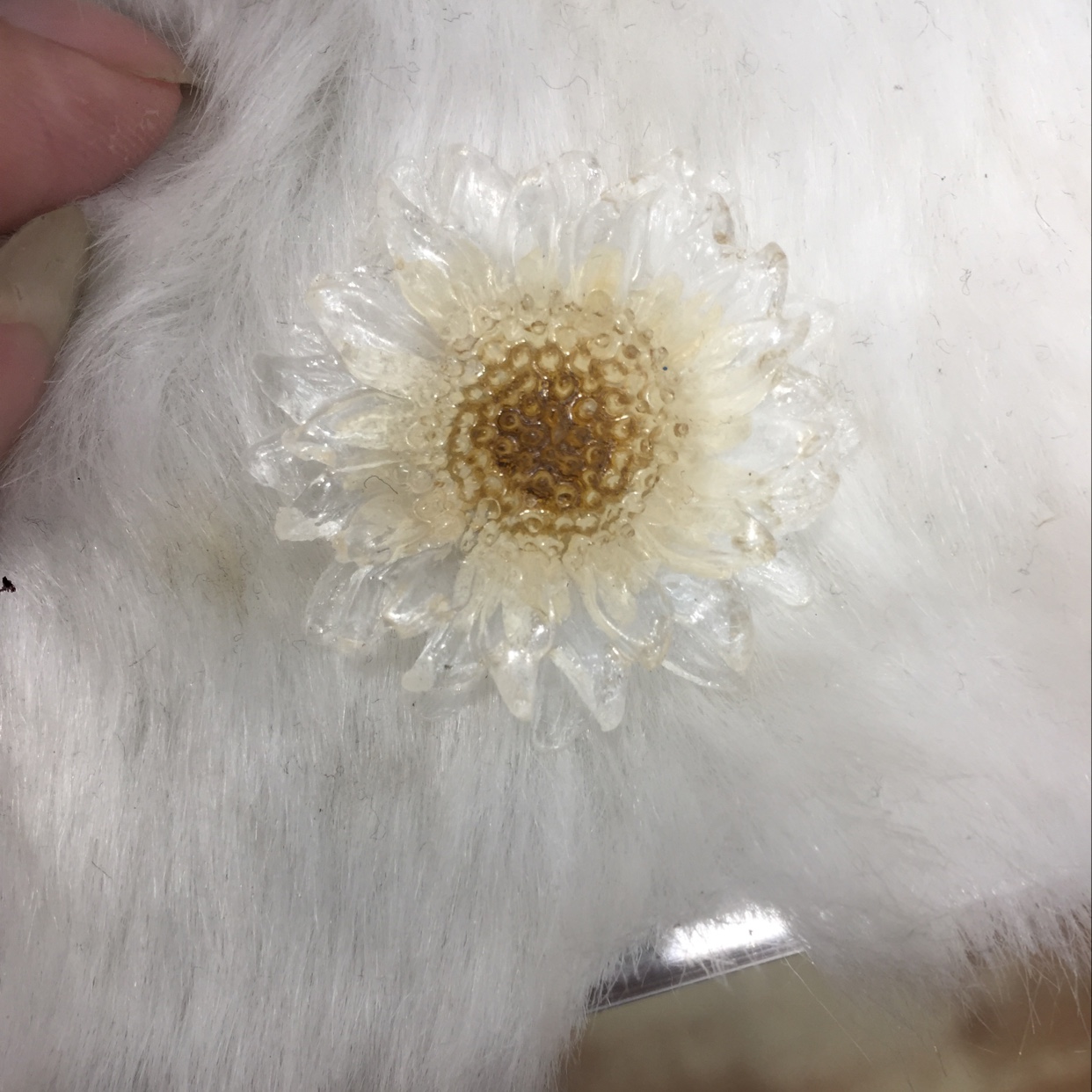 向日葵花