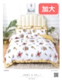 Korean-style trendy bow bedding, Korean-style fresh and clean 4-piece set, a bestseller at street stalls for foreign trade Application Scenario