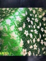 新品/现货/厂家直销白底实物图