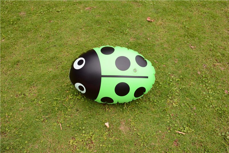 Follow the shadow, children and adults to learn swimming equipment detail image 4