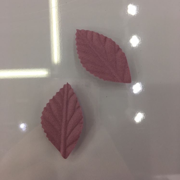 The leaves thumbnail