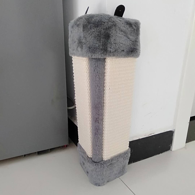狗狗玩具实物图