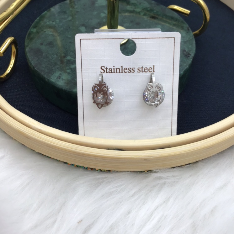 Owl Zircon Earrings Gallman 030 Everything Pop Stainless Steel