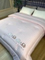 A fairy tale world embroidered winter quilt Item Picture