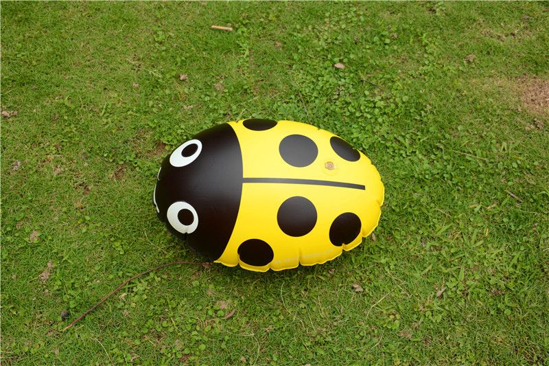 Follow the shadow, children and adults to learn swimming equipment detail image 6