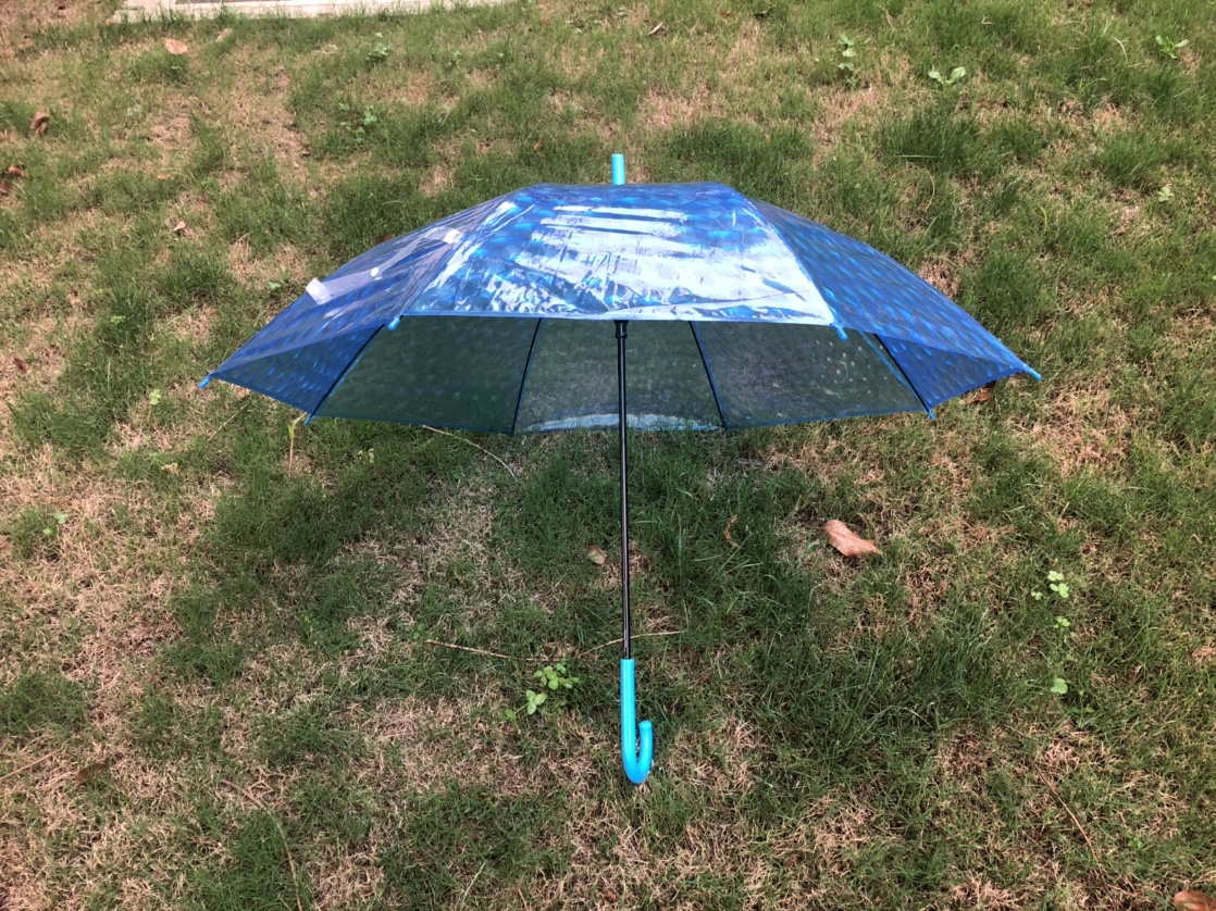 Three-dimensional transparent umbrella