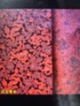 Dragón chino jacquard details Picture