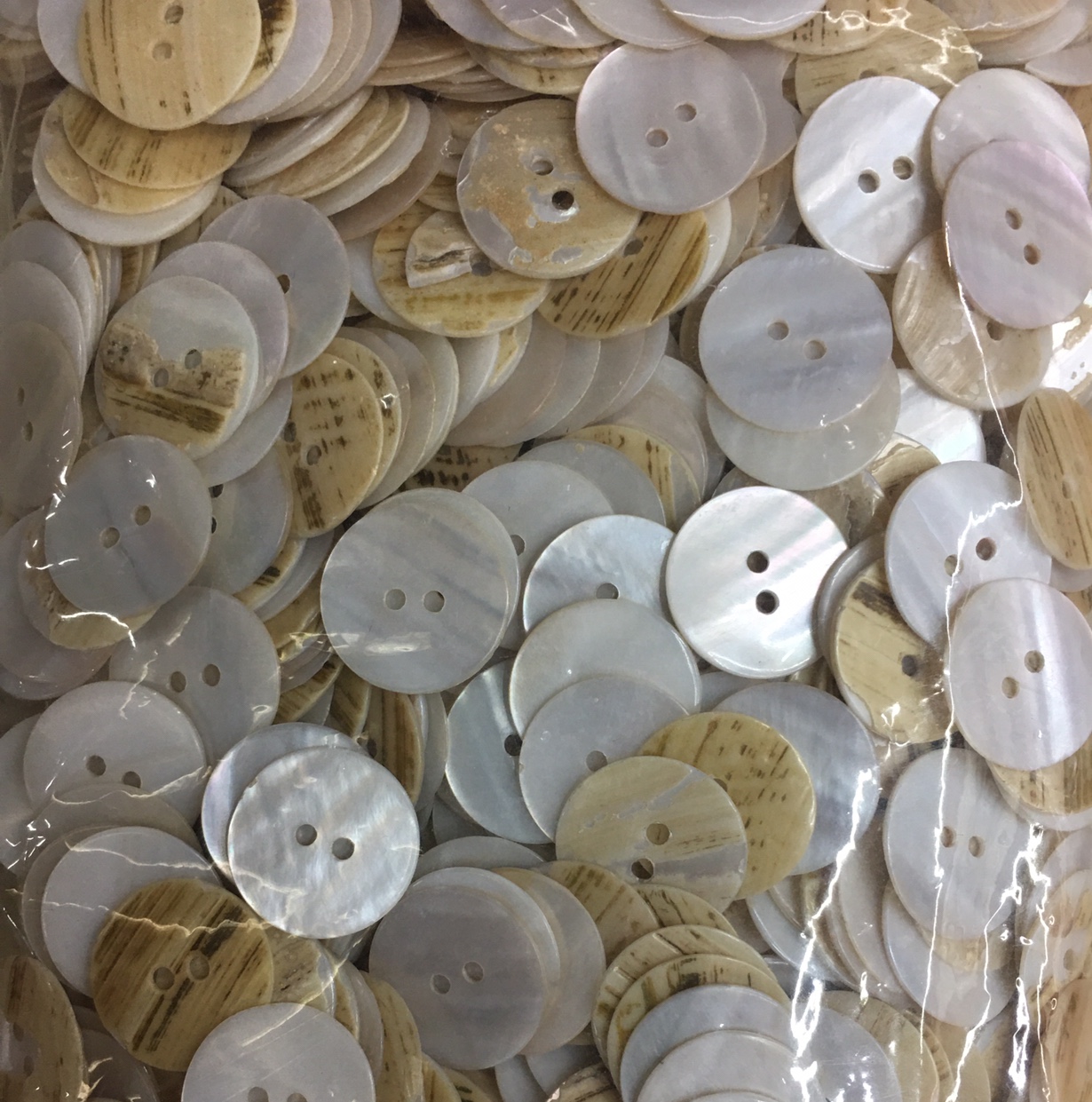 带皮白贝带皮白贝带皮白贝带皮白贝带皮白贝带皮白贝带皮白贝