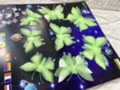 夜光大号立体蝴蝶白底实物图