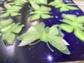 其他仿真工艺品实物图