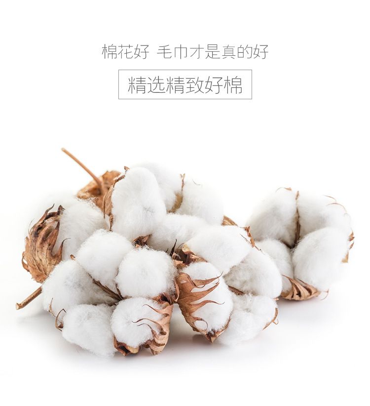 Life Story Pure cotton striped towel, absorbent and soft face towel detail image 4