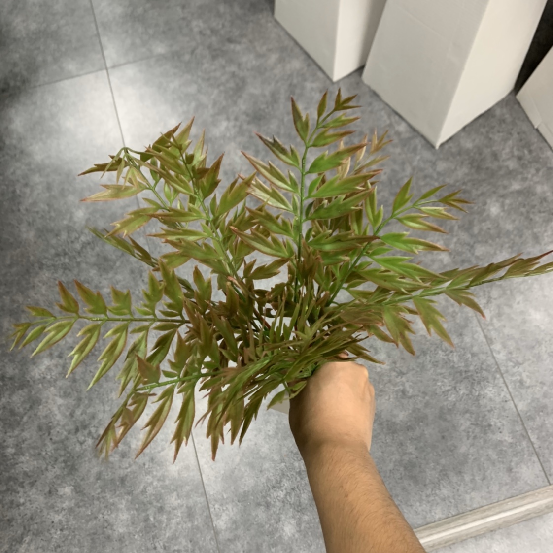 Simulation plant green plant potted home put floor green plant plastic grass 1 thumbnail