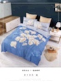 4-piece bedding set in large format, targeted pattern, Kuaishou, Douyin, street stall, the top choice for foreign trade, bestseller and sales king Application Scenario